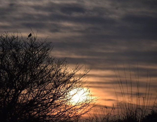 Geneva Sunrise - @yoga.gal